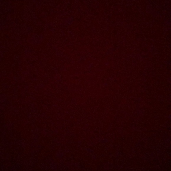 Meet your Posher, Riley - Picture 1 of 1